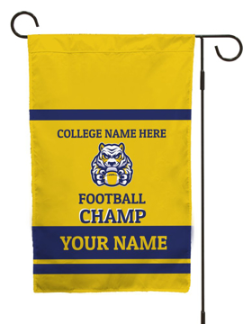 Picture of GF Sports & Clubs 3 - Blue and Yellow
