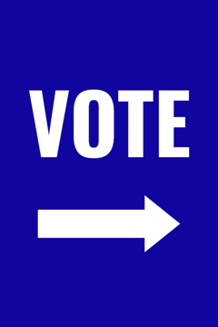 Picture of Vote Other 3