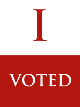 Picture of Vote Other 2