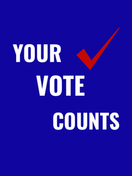 Picture of Vote Other 8