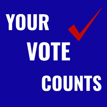 Picture of Vote Other 8