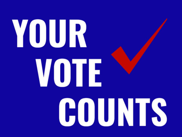 Picture of Vote Other 8