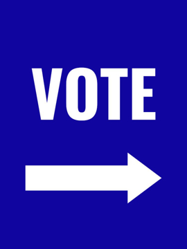 Picture of Vote Other 3