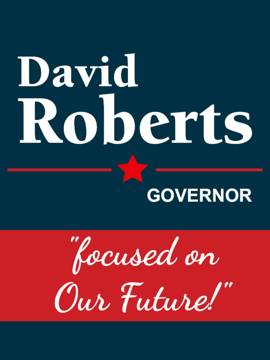 Picture of Governor 8