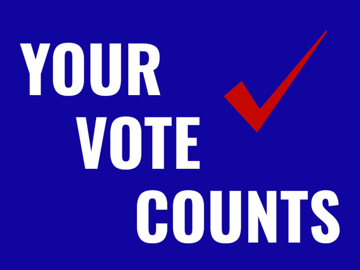 Picture of Vote Other 8