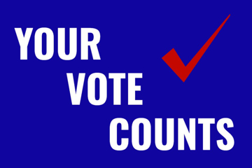 Picture of Vote Other 8