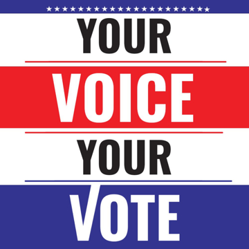 Picture of Political 4 - 24x24