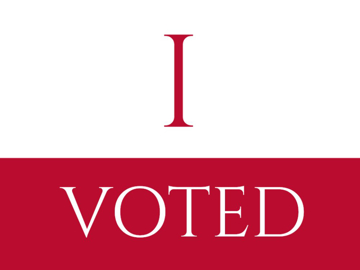 Picture of Vote Other 2