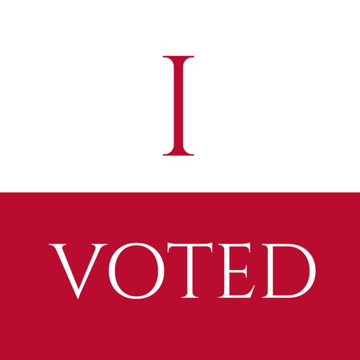 Picture of Vote Other 2