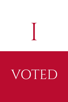 Picture of Vote Other 2