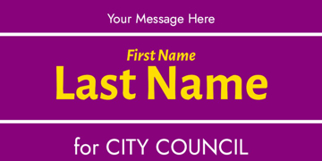 Picture of City Council 8