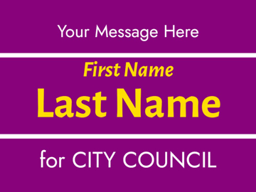 Picture of City Council 8