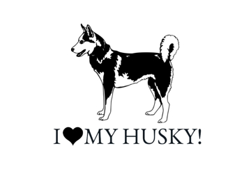 Picture of Novelty 10