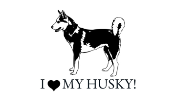 Picture of Novelty 1